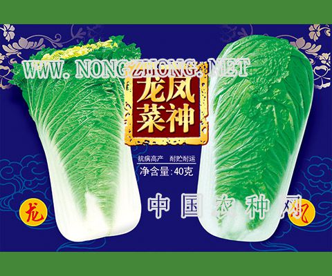 龙凤菜神